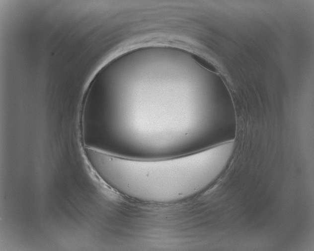 X0000070171530200605260951