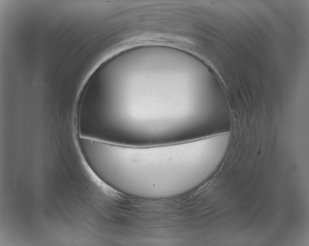 X0000070171531200605260951