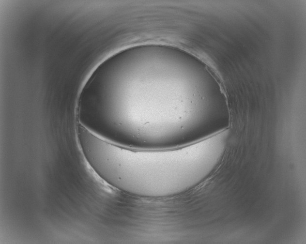X0000070171532200605260951