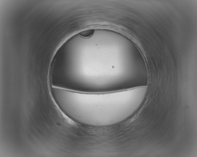 X0000070171533200605260951