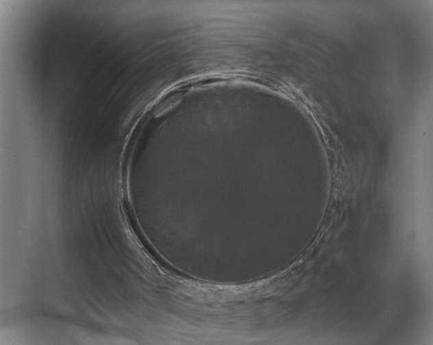 X0000070170002200605261208