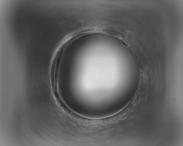 X0000070170006200605261208