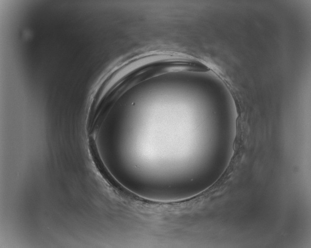 X0000070170007200605261208