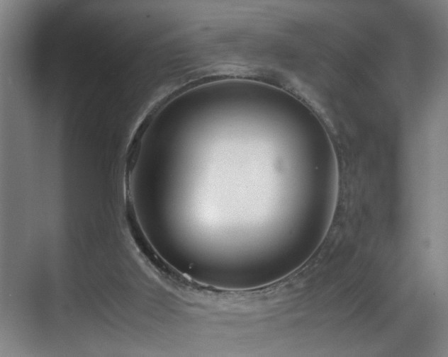 X0000070170011200605261208