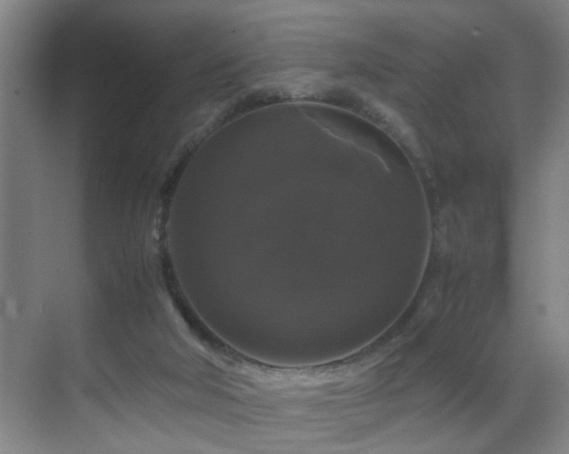 X0000070170018200605261207