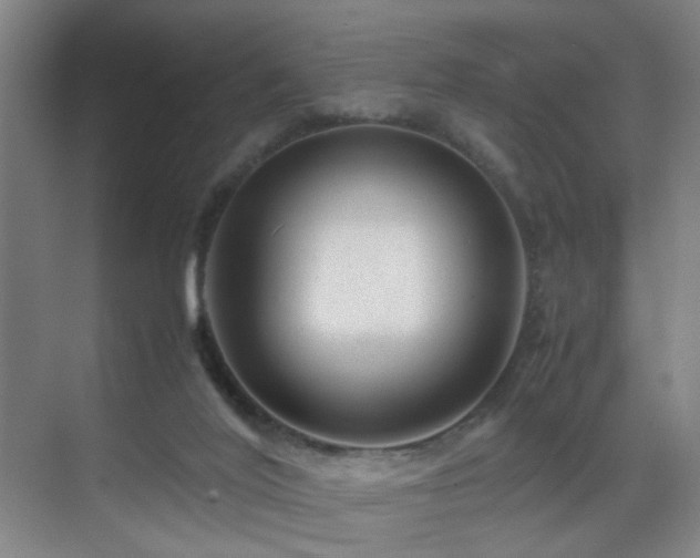 X0000070170020200605261207