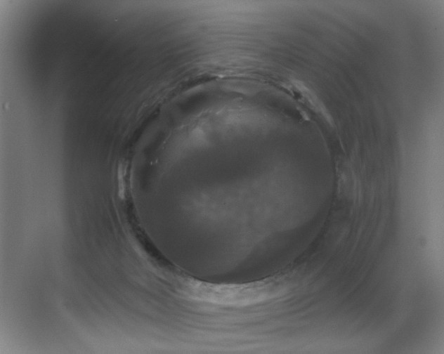 X0000070170026200605261207