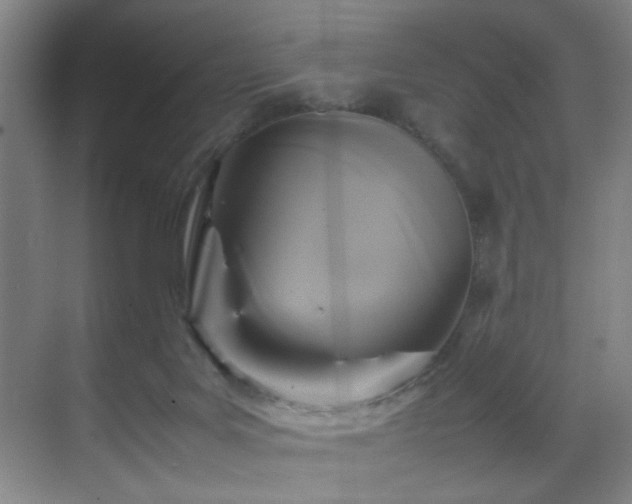X0000070170027200605261207