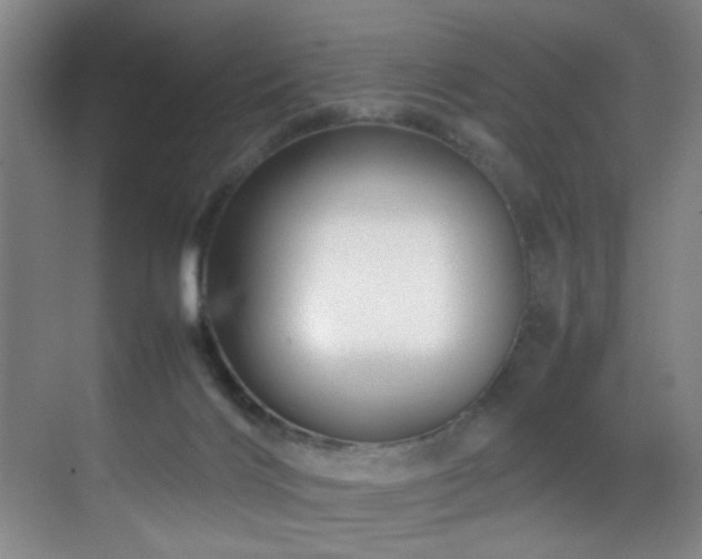 X0000070170028200605261207