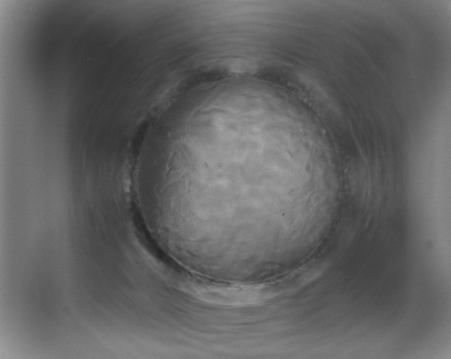 X0000070170032200605261207