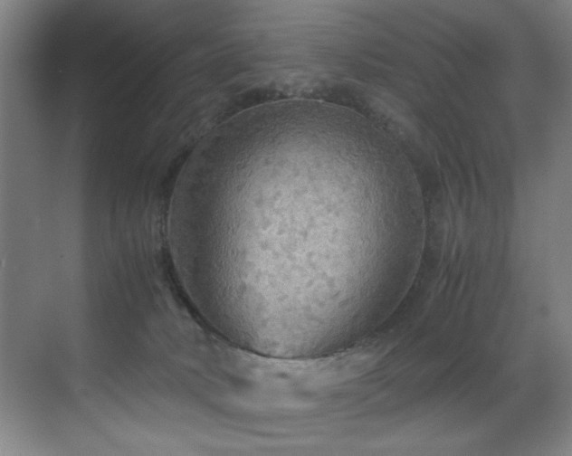 X0000070170034200605261207