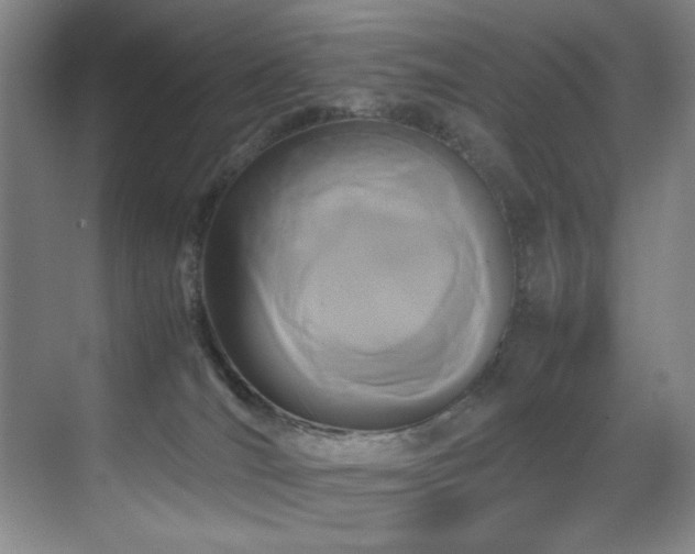X0000070170036200605261207