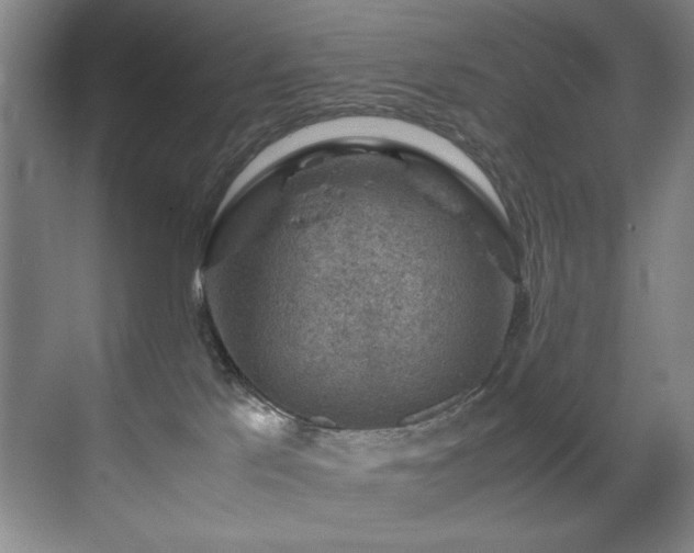 X0000070170041200605261207