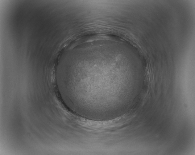X0000070170043200605261207