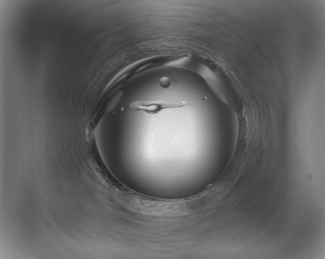 X0000070170044200605261207