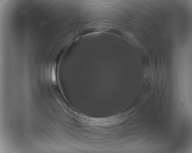 X0000070170046200605261207