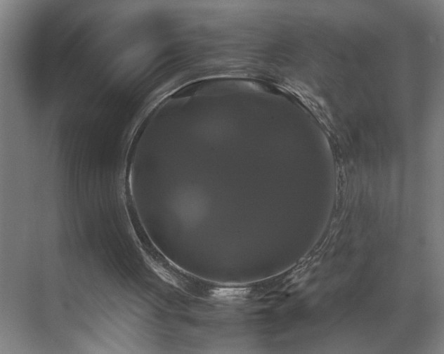 X0000070170051200605261206