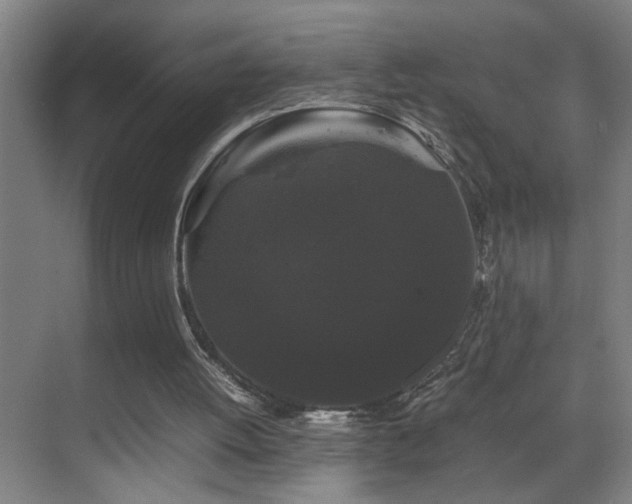 X0000070170052200605261206