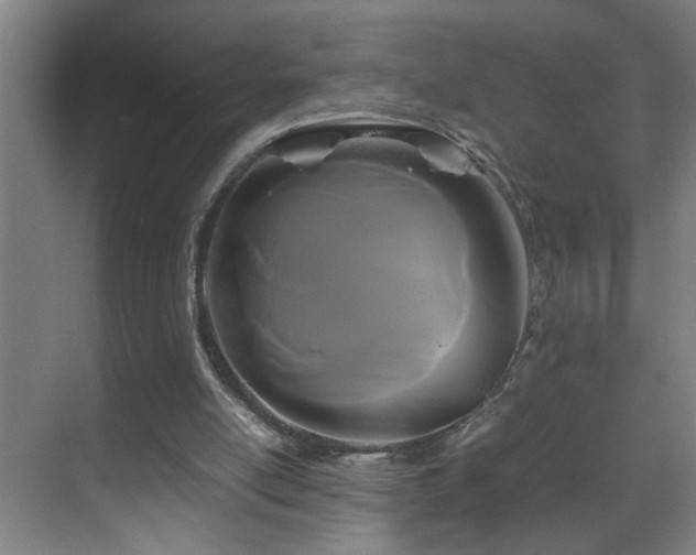 X0000070170054200605261206