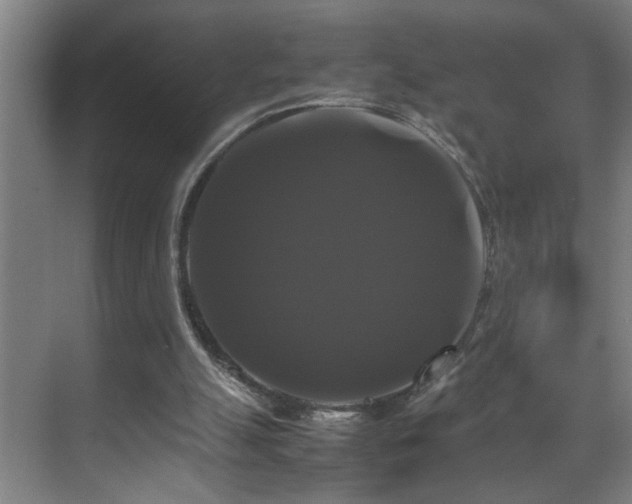 X0000070170055200605261206
