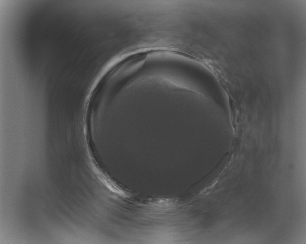 X0000070170056200605261206
