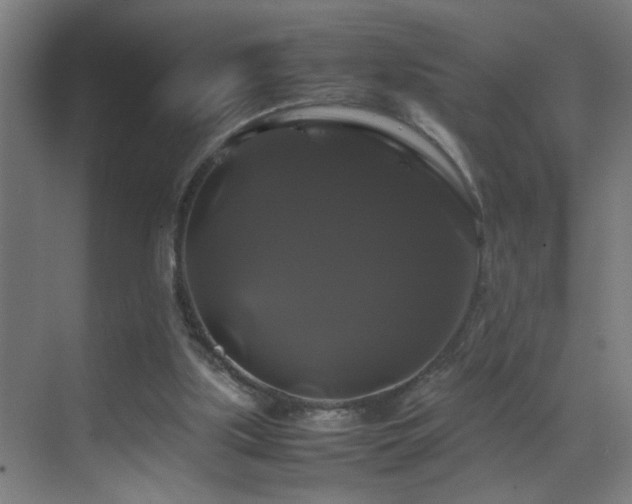 X0000070170059200605261206