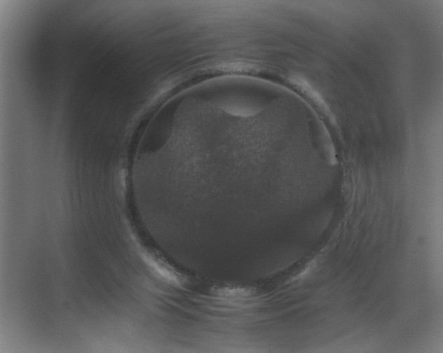 X0000070170063200605261206