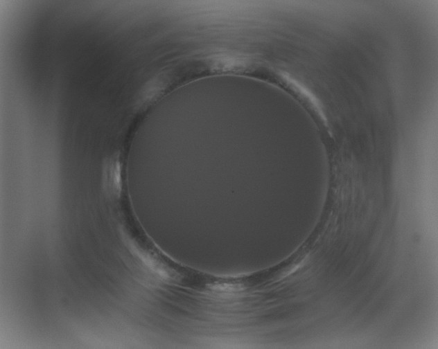 X0000070170067200605261206
