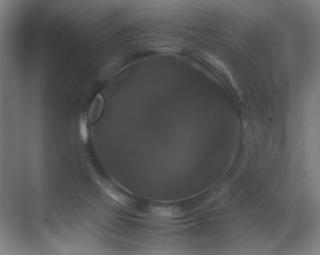 X0000070170069200605261206