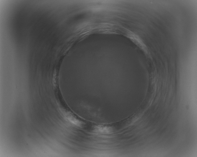 X0000070170073200605261207