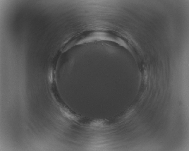 X0000070170076200605261207