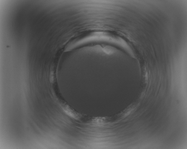X0000070170080200605261207
