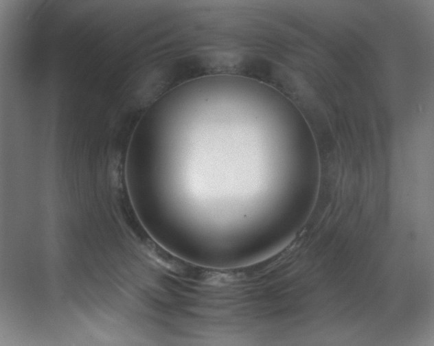 X0000070170083200605261207