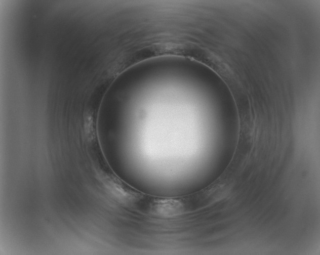 X0000070170087200605261207
