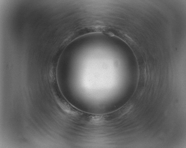 X0000070170088200605261207