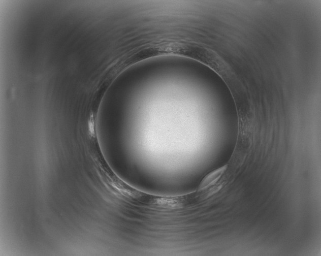 X0000070170095200605261207