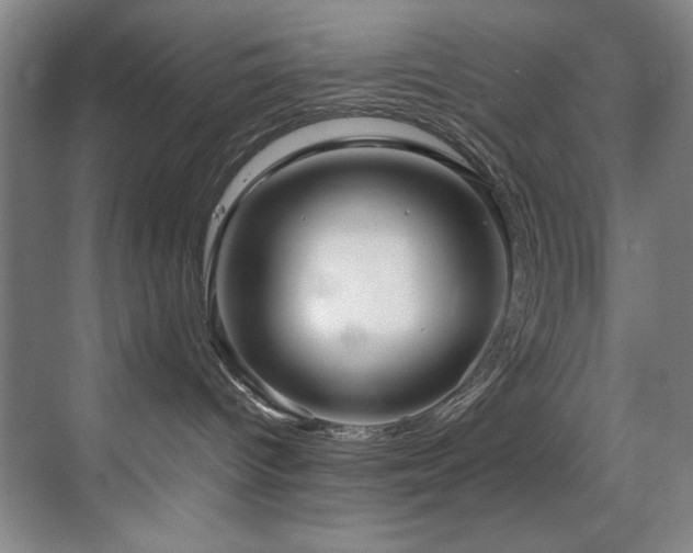 X0000070170096200605261207