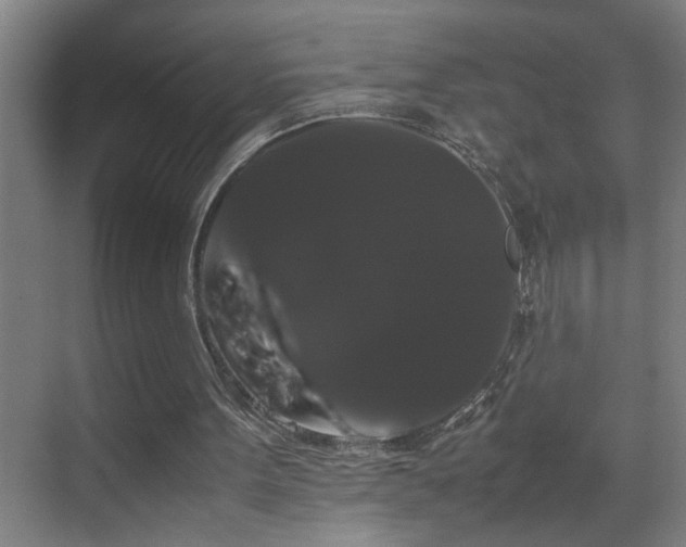 X0000070170099200605261206