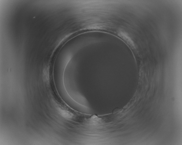X0000070170108200605261206