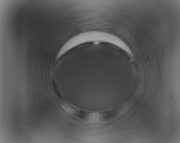 X0000070170127200605261206