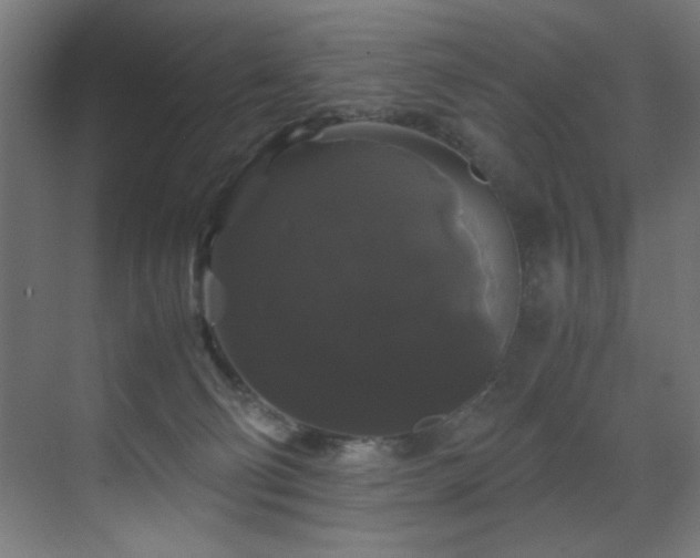 X0000070170130200605261206