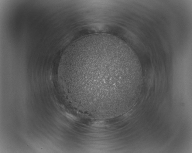 X0000070170132200605261206