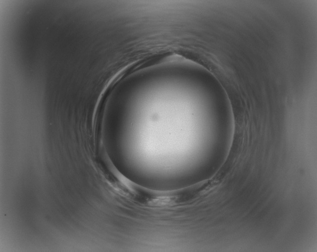 X0000070170133200605261206