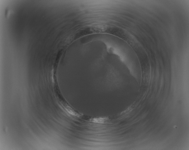 X0000070170134200605261205