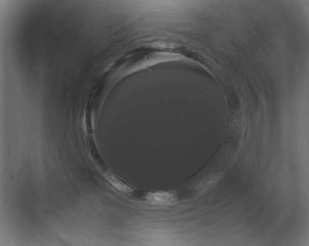 X0000070170137200605261205