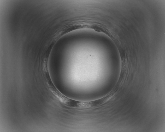 X0000070170141200605261205