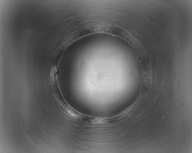 X0000070170142200605261205