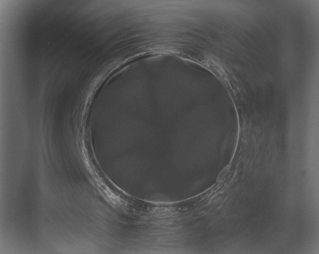 X0000070170145200605261205