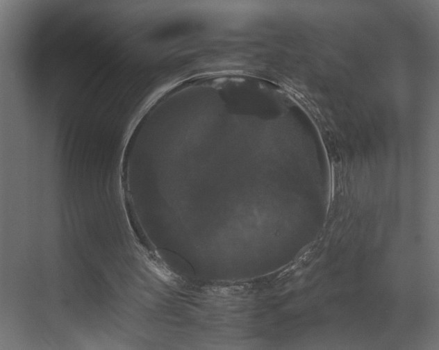 X0000070170147200605261205