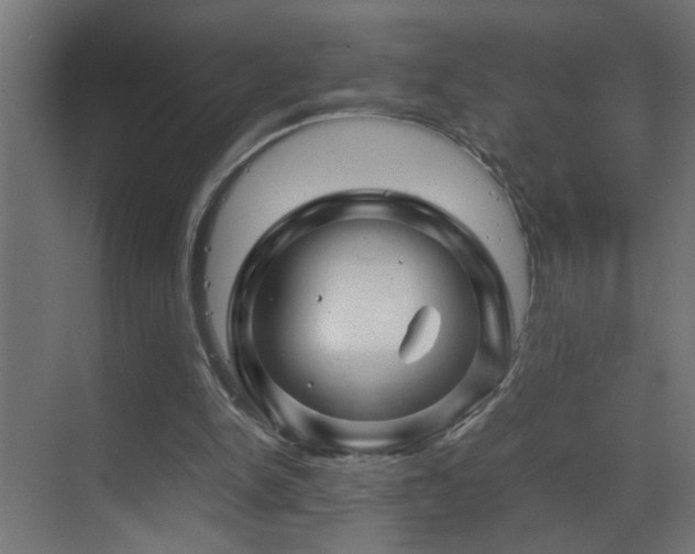 X0000070170150200605261205